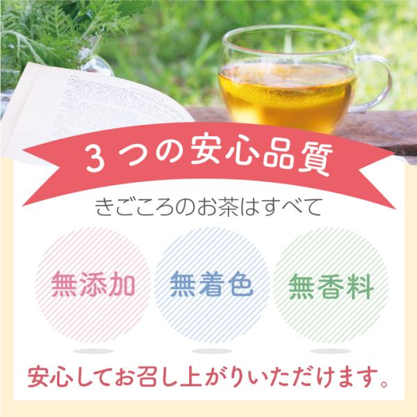 プチギフト 感謝の言葉つき和紅茶ティーバッグ 【お世話になりました】10個入