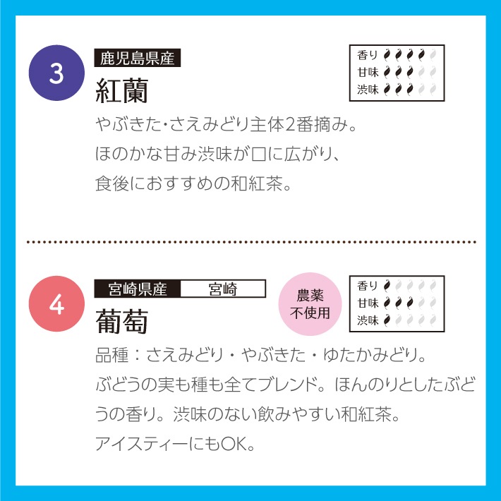 【夏セレクト】プチギフト 和紅茶 セレクトパック ティーバッグ4種×2個セット 送料無料 メール便