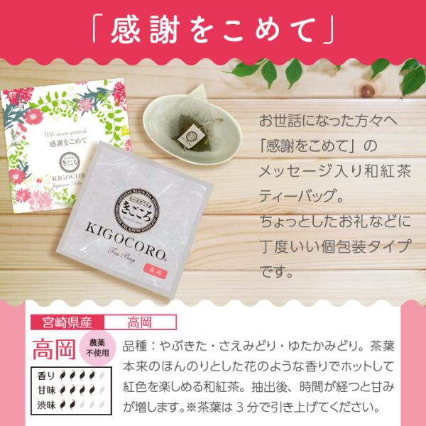 りぃこ（感謝） 作品タイトルで選ぶ/Z/X -Zillions of enemy X-(並び順：発売日