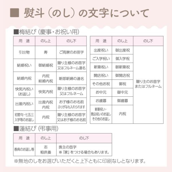 水出しボトル（ブラウン）ギフト 紅蘭 ティーバッグ 8g×5個