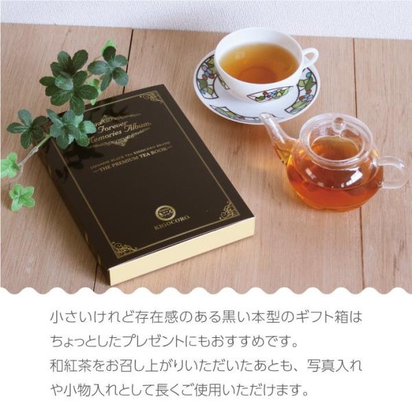COMPACT TEA BOOK 【ノアール】 ティーバッグ5種入 メール便
