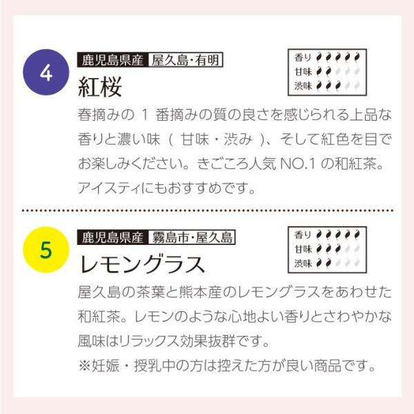 COMPACT TEA BOOK 【ノアール】 ティーバッグ5種入 メール便