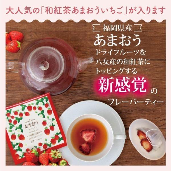 きごころバラエティギフト 和紅茶・お茶ティーバッグ【20種類】