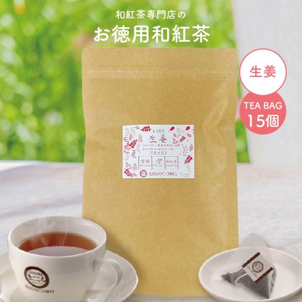 お徳用 宮崎産和紅茶【生姜】 ティーバッグ 2.5g×15個 エコパック メール便