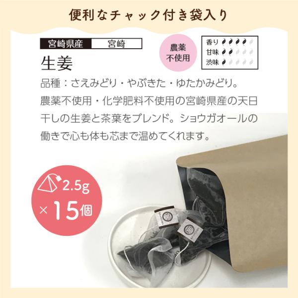 お徳用 宮崎産和紅茶【生姜】 ティーバッグ 2.5g×15個 エコパック メール便
