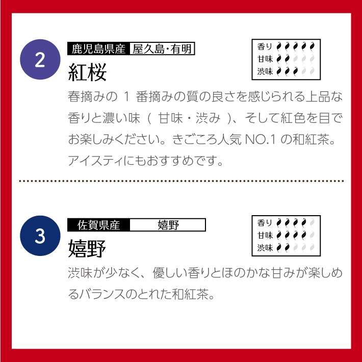 【クリスマス】和紅茶ティータイムギフト ティーバッグ 10種類
