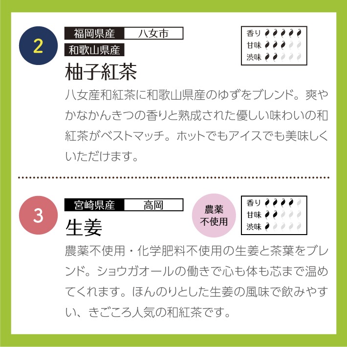 【クリスマス】和紅茶ティータイムギフト ティーバッグ 10種類