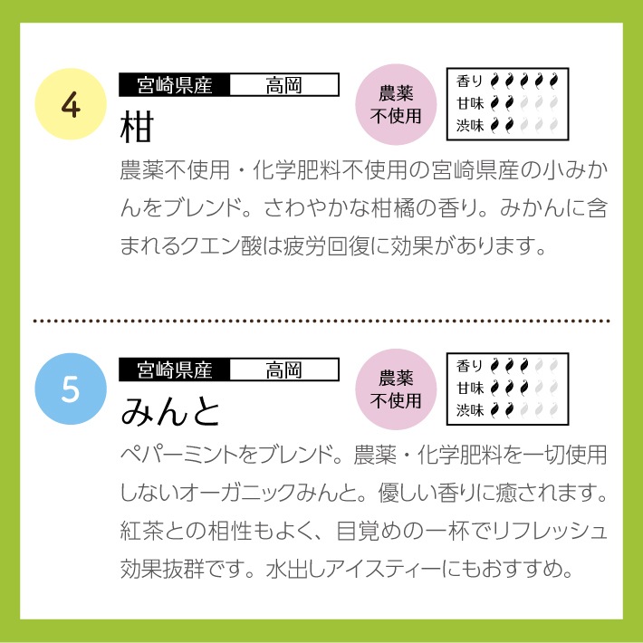 【クリスマス】和紅茶ティータイムギフト ティーバッグ 10種類