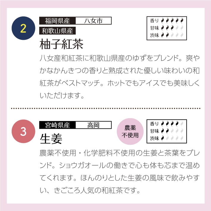 【母の日メッセージ付き】和紅茶ティータイムギフト ティーバッグ 10種類