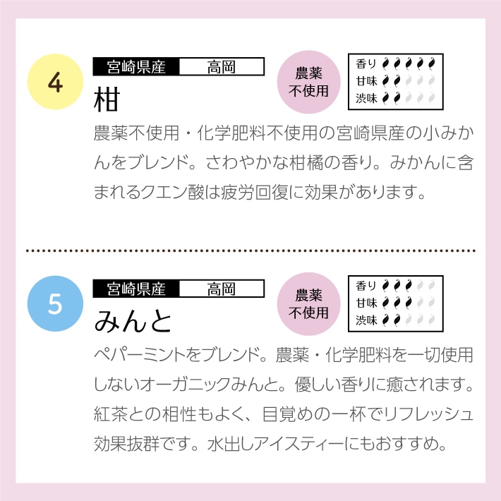 【母の日メッセージ付き】和紅茶ティータイムギフト ティーバッグ 10種類