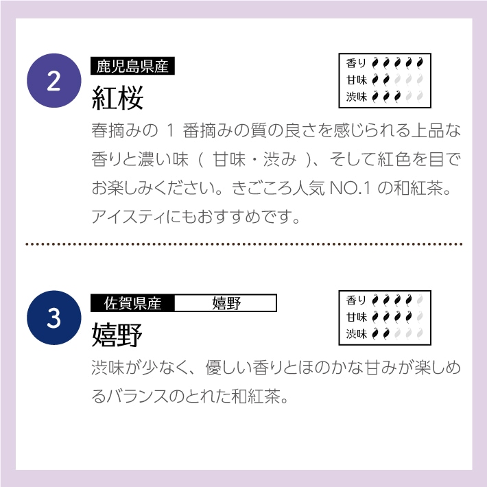 【母の日メッセージ付き】和紅茶ティータイムギフト ティーバッグ 10種類