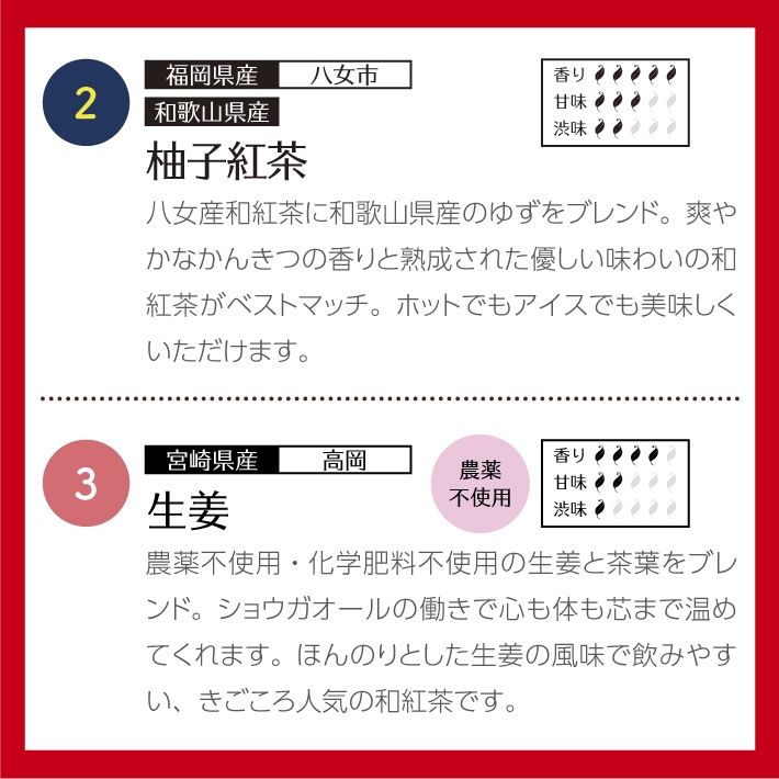 【バレンタインデー】和紅茶ティータイムギフト ティーバッグ 10種類