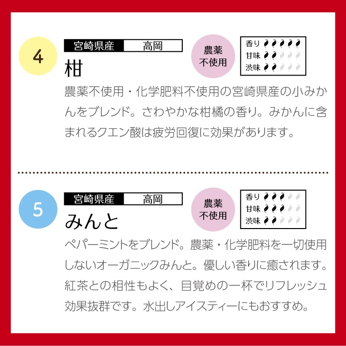 【バレンタインデー】和紅茶ティータイムギフト ティーバッグ 10種類