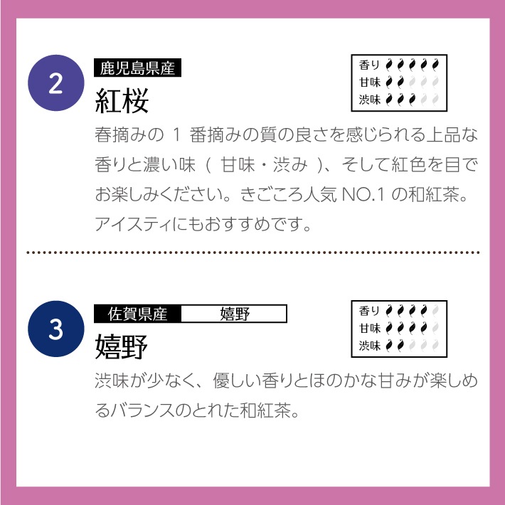 【バレンタインデー】和紅茶ティータイムギフト ティーバッグ 10種類