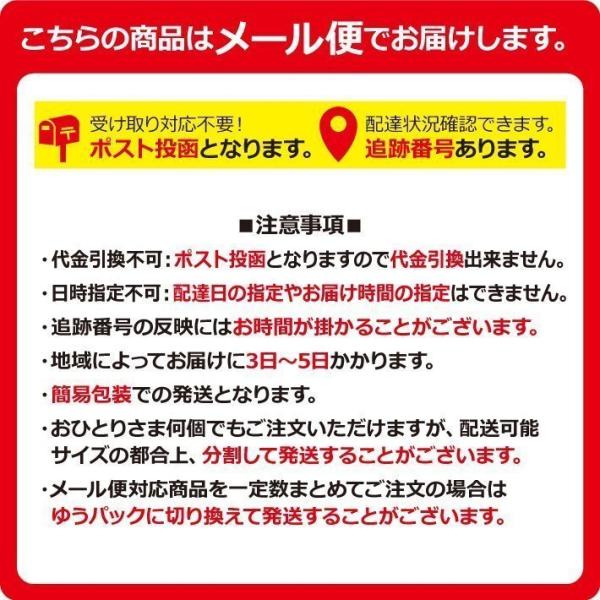 お徳用　鹿児島産和紅茶  紅蘭 リーフ 100g エコパック メール便