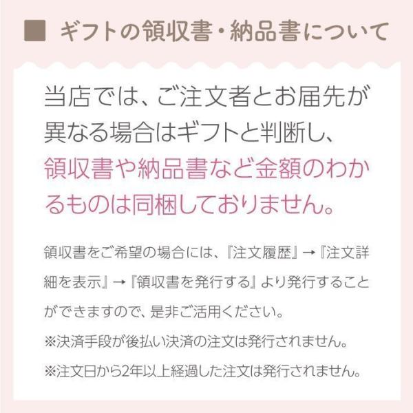 お徳用　鹿児島産和紅茶  紅蘭 リーフ 100g エコパック メール便