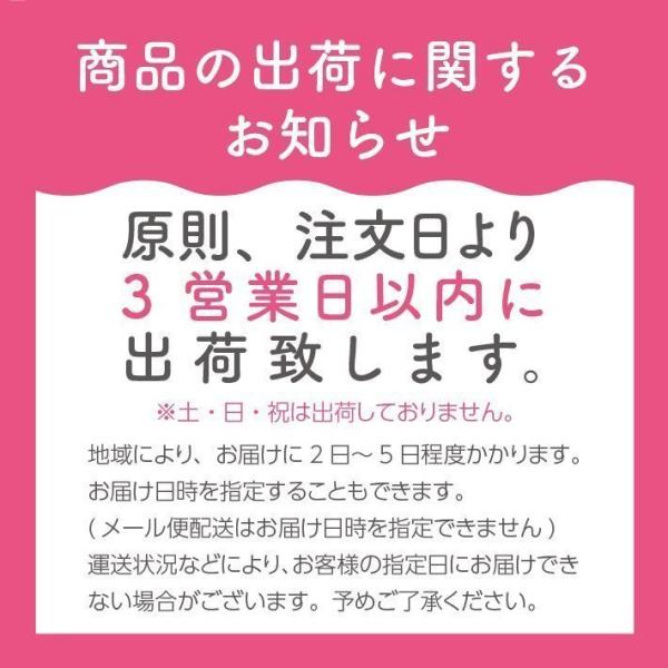 お徳用　鹿児島産和紅茶  紅蘭 リーフ 100g エコパック メール便