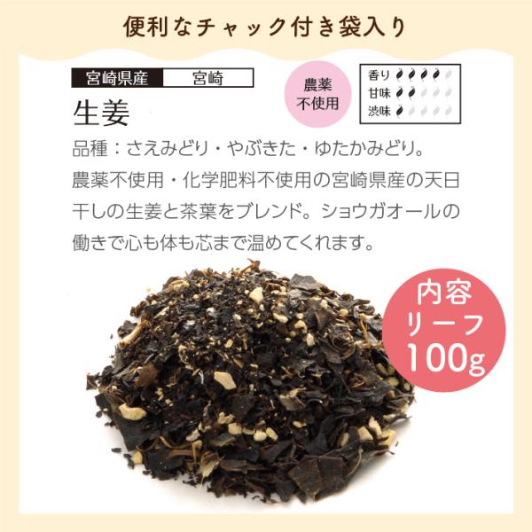 お徳用　宮崎産和紅茶  生姜 リーフ 100g エコパック メール便