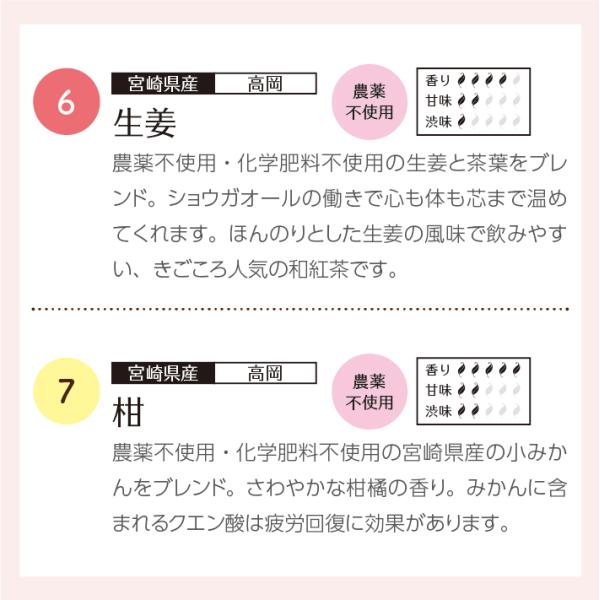 和紅茶バラエティギフト ティーバッグ 10種入