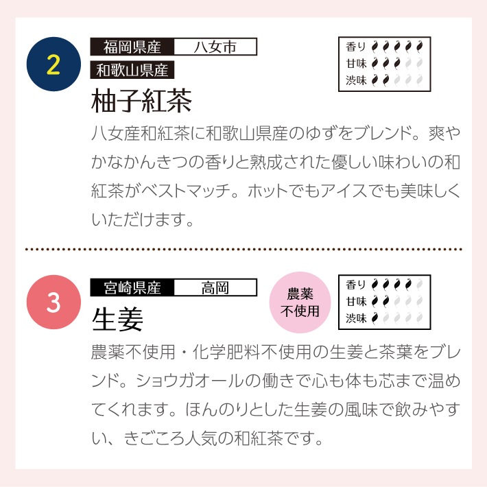 和紅茶ティータイムギフト ティーバッグ 10種類