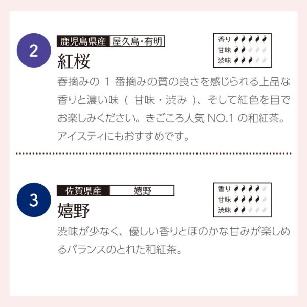 和紅茶ティータイムギフト ティーバッグ 10種類