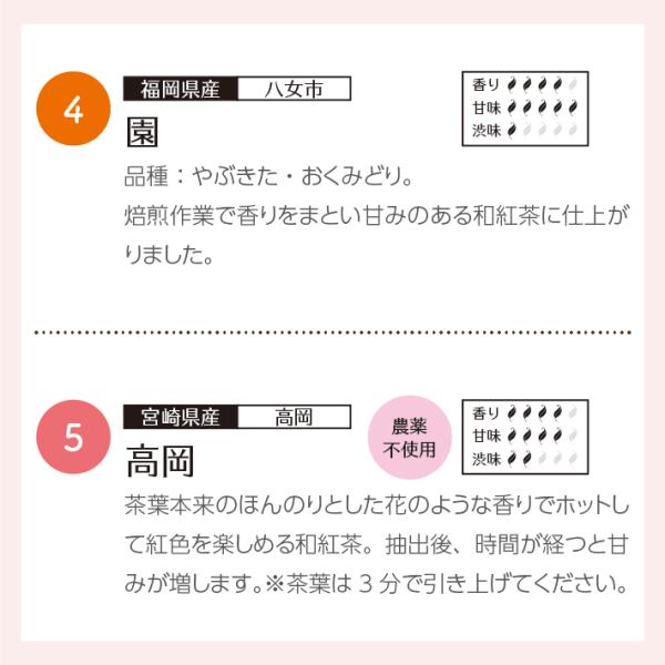 和紅茶ティータイムギフト ティーバッグ 10種類