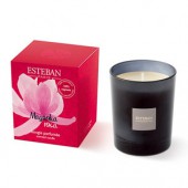 �����ƥХ�Υ����ޥ����ɥ� �إޥ��Υꥢ ������ �ե����ȥ����ɥ��