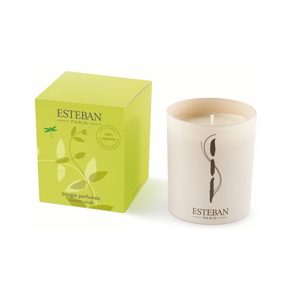 �����ƥХ�Υ����ޥ����ɥ� �إ��꡼��Ρ��� �ե����ȥ����ɥ��