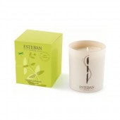 ƥХΥޥɥ إ꡼Ρ եȥɥ