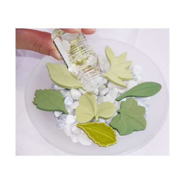 エステバンのアロマストーン&ディッシュ 『グリーンノート ミニギフト3