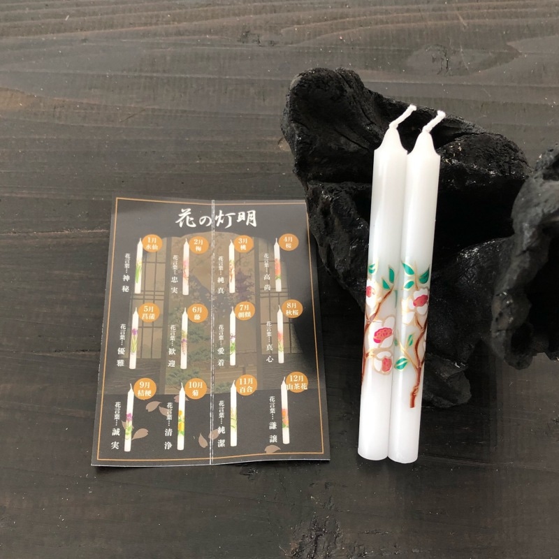 �֥��������ز֤���������(���)/���棵(1.5��)/2������PP��[ǳ��1����]�٥ޥ륨��