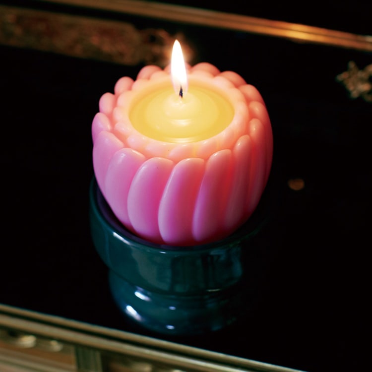 ✳︎Daimoyu✳︎ピンクトルマリン　カイヤナイト　龍亀（ロングイ）セット ✳︎Daimoyu様専用✳︎ピンクトルマリン カイヤナイト 龍亀（ロングイ