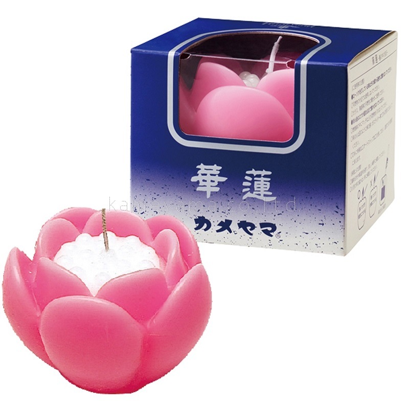 �����ޤ�ϡ���������� �ز�ϡ(�����) �ڥԥ󥯡� ��ǳ��20����