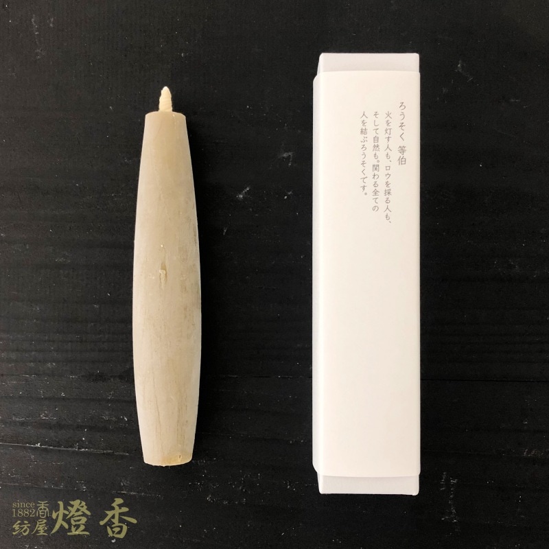 ¿ȧ(ȤϤ)/1ۻȢ[ǳ4]ٹ߷