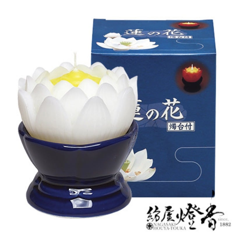 ϡ����������/��������ϡ�β֡ڥۥ磻��/��/����/36�ġۻ�Ȣ��[ǳ��24����]�٥ޥ륨��