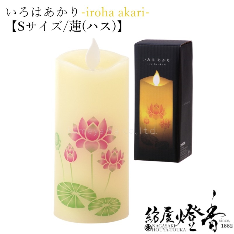 �̣ţĥ��������ؤ����Ϥ����ꡦS��������ϡ(�ϥ�)-hasu-�����Ӽ����������٥�����