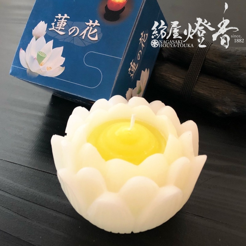 ϡ������������ϡ�β֡ڥۥ磻��/��/��ʤ��ۻ�Ȣ��[ǳ��24����]�٥ޥ륨��