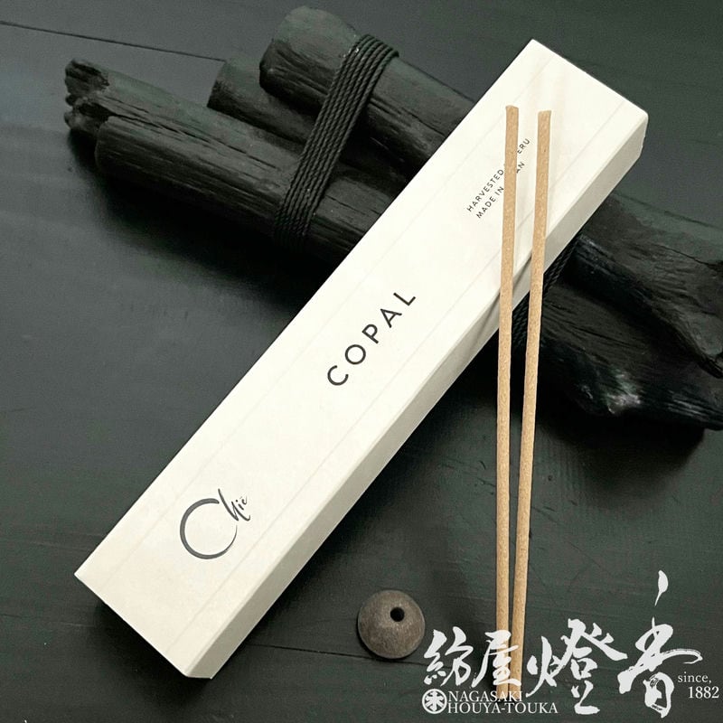 ����/���󥻥󥹡ظſͤ��ҷŤι���CHIE��COPAL���ڥ롼�����ѥ��/ST30�ܡ�û�����ƥ��å���Ȣ��[��Ω����]�����ܹ�Ʋ