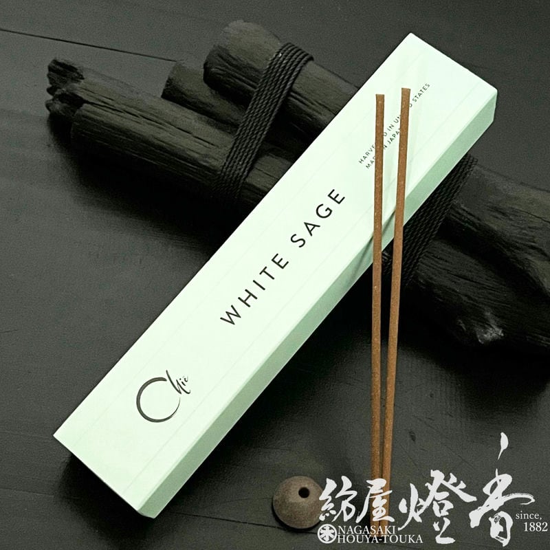 ����/���󥻥󥹡ظſͤ��ҷŤι���CHIE��WHITE SAGE������ꥫ���ۥ磻�ȥ�������/ST30�ܡ�û�����ƥ��å���Ȣ��[��Ω����]�����ܹ�Ʋ