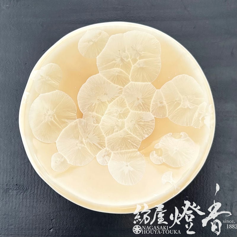 陶磁器『京華釉の艶やかな結晶の花【京華釉香皿(きょうかゆうこうさら