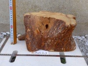 お買得盆栽置台 330×240×170mm 15060303|期間限定お買得・処分品コーナー