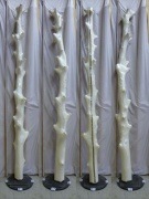 【変木】 フクランショ 長さ3m末口幅100mm 15120303