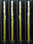 【変木】 槙（マキ）出節 長さ3m 末口幅111mm 16052552