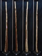 【変木】 榁（ムロ） 長さ2.9m 末口幅63mm 16060351|榁(ムロ)|変木・磨き丸太・絞り丸太