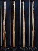 【変木】 榁（ムロ） 長さ3m 末口幅77mm 16060353