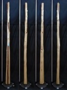 【変木】 榁（ムロ） 長さ3.2m 末口幅51mm 16060856