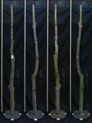 【変木】 栗 長さ3m 末口幅62mm 16051163|栗(クリ)|変木・磨き丸太・絞り丸太