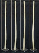 【変木】 モミジ 長さ3m 末口幅72mm 16031952