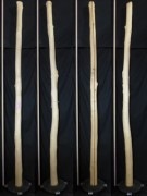 【変木】 チシャ 長さ3m 末口幅96mm 16032551|萵苣(チシャ)|変木・磨き丸太・絞り丸太