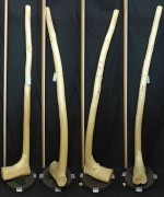 【変木】 長さ1.9m 末口幅70mm 16110851